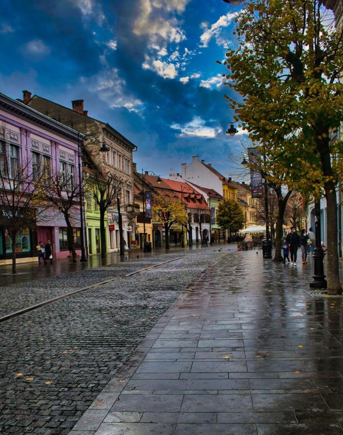 Phoenix Central Apartments Sibiu Extérieur photo